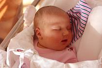 JANA PANTOFLÍČKOVÁ z Klatov se narodila 29. října v 8.38 hodin ve Fakultní nemocnici Plzeň-Lochotín (3860 g a 49 cm). Na holčičku se těšili rodiče Lenka a Dan a bráškové Daník (9) a Filip (7).