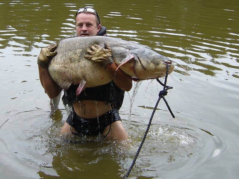 Rybář zdolal sumce měřícího 202 cm