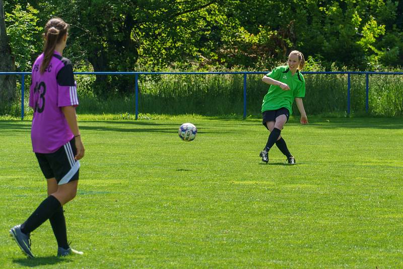 5. kolo DAFL, léto 2022: PS Křeč Mochtín (fialové dresy) - Sokolky Neznašovy 2:3.