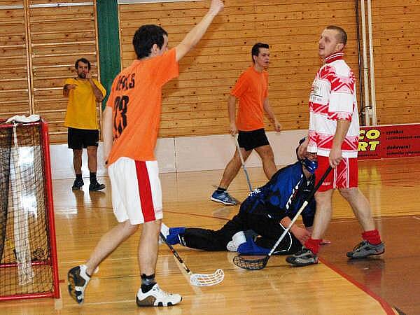 Fanklub Cup 2010