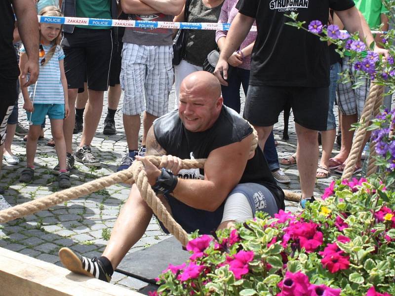 Strongman v Sušici 2014