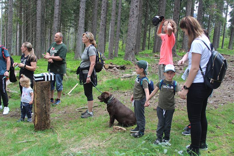 Sázení stromků na Šumavě s WeLoveŠumava 5. června 2021.