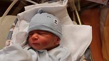 Dvojčata Karina a Cristian Badea se narodila 1. června 2021 mamince Cristině a tatínkovi Cosminovi z Rokycan. Karina se narodila v 11:22, bráška Cristian o tři minuty později. Po příchodu na svět ve Fakultní nemocnici v Plzni na Lochotíně vážila prvorozen