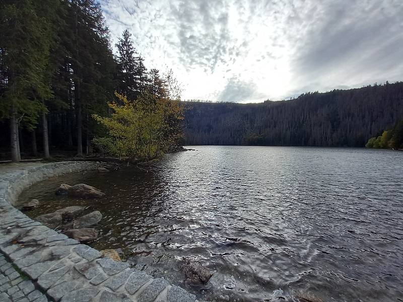 Šumava a Černé jezero.