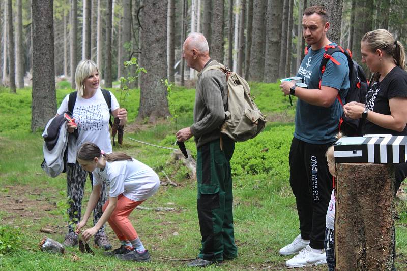 Sázení stromků na Šumavě s WeLoveŠumava 5. června 2021.