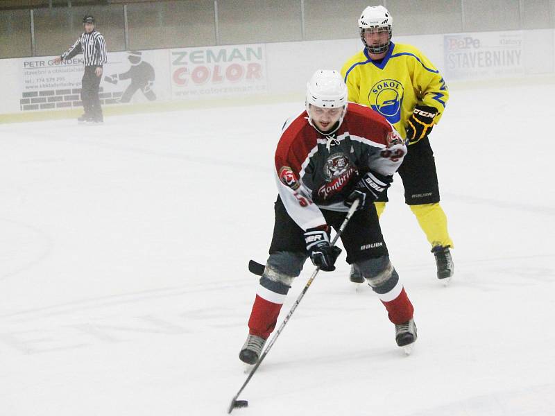 HC Bidlo Malá Víska - Sokol Horní Lukavice 1:3