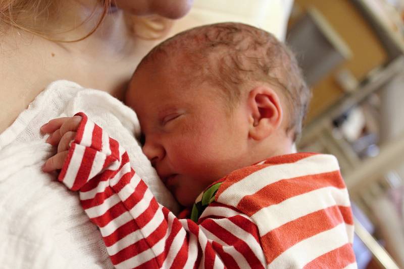 Martin Knopf z Domažlic se narodil v klatovské porodnici 26. února v 9:41 hodin (2750 g, 49 cm). Rodiče Simona a David věděli dopředu, že se jim narodí chlapeček.