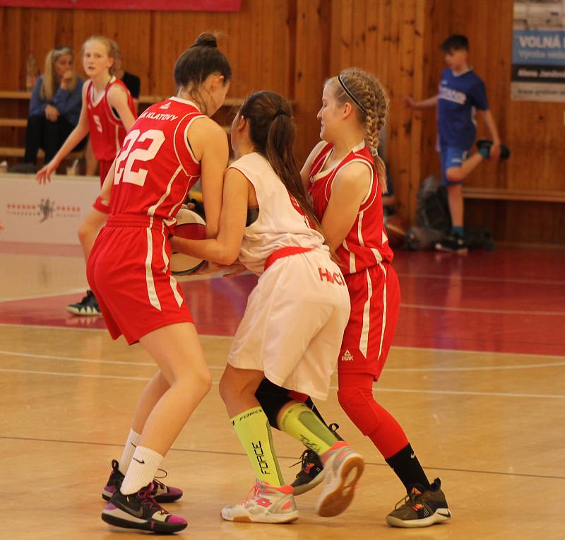 BK Klatovy U14 (v červeném) vs. BK Tábor 62:14 - fotogalerie z pátečního zápasu