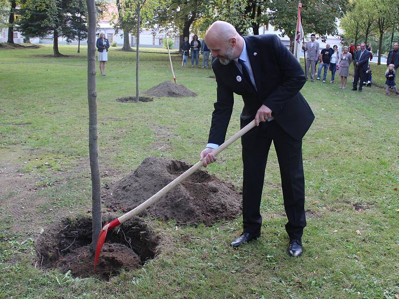 Sázení pamětních lip v Sušici.