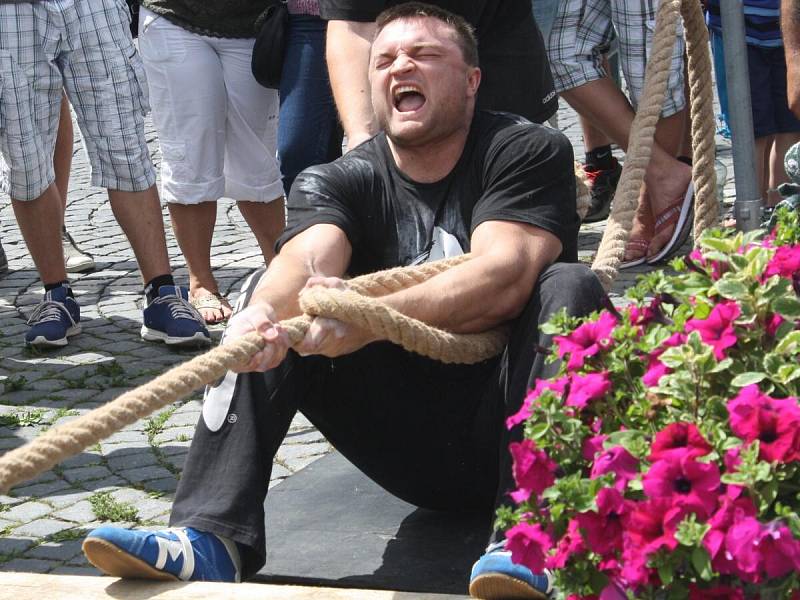 Strongman v Sušici 2014