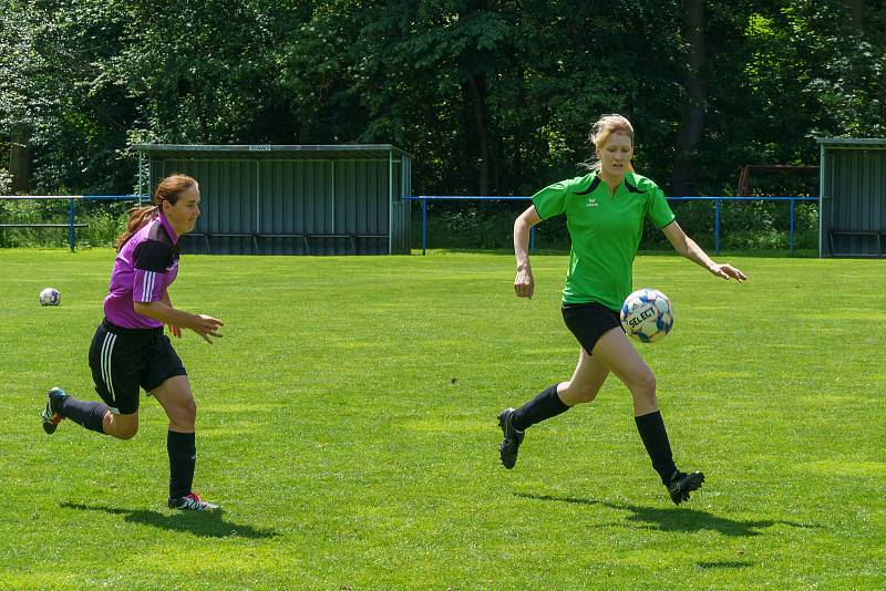 5. kolo DAFL, léto 2022: PS Křeč Mochtín (fialové dresy) - Sokolky Neznašovy 2:3.