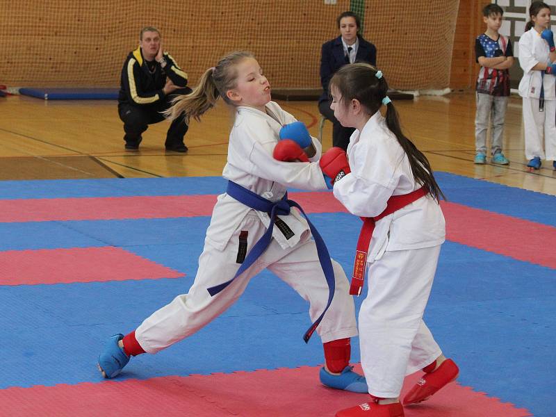 Krajská liga mládeže v karate v Klatovech.