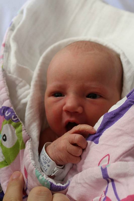 Lilian Tomanová z Petrovic nad Úhlavou přišla na svět v klatovské porodnici 28. října v 15:45 hodin. Maminka Karolína a tatínek Jiří dopředu věděli, že jejich prvorozeným miminkem s mírami 3370 g a 50 cm bude holčička.