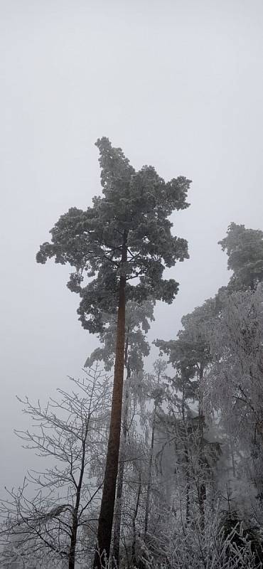 Mrazivé počasí na Klatovsku.