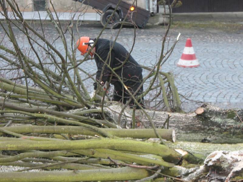 Město Plánice nechalo pokácet třicet stromů na náměstí, prý jsou nebezpečné