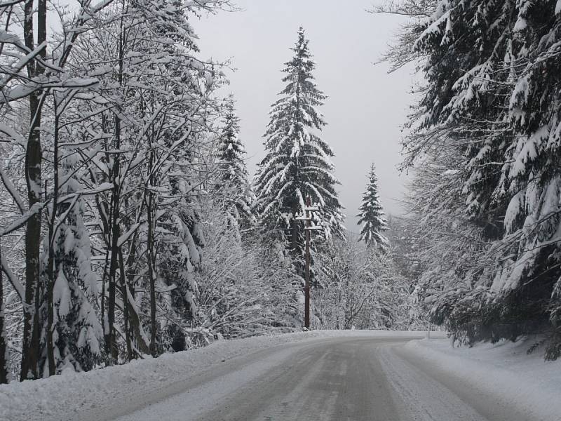 Zahájení lyžařské sezony na Šumavě. Ski areál Špičák 8. 12. 12