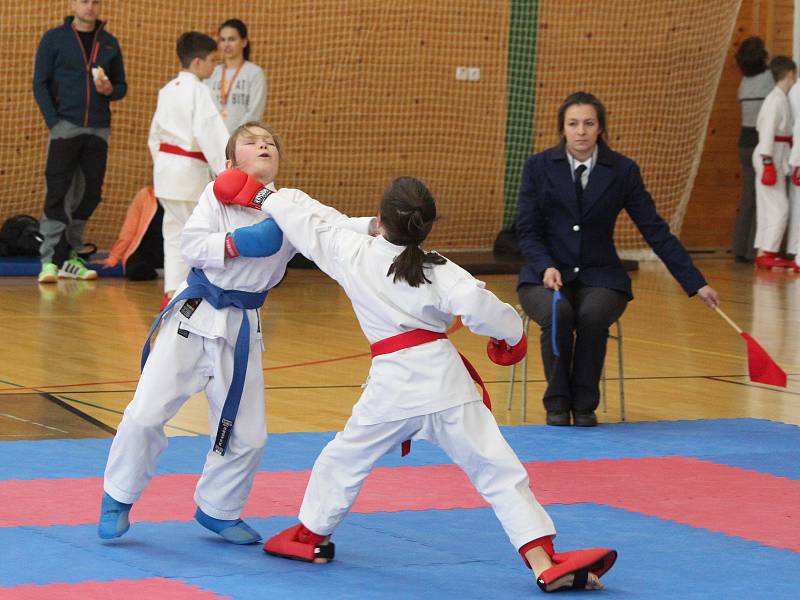 Krajská liga mládeže v karate v Klatovech.