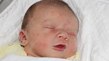 David Stauber z Kanic (3610 g, 50 cm) se narodil v klatovské porodnici 28. března v 1.18 hodin. Rodiče Anna a David přivítali svého očekávaného prvorozeného syna na světě společně.