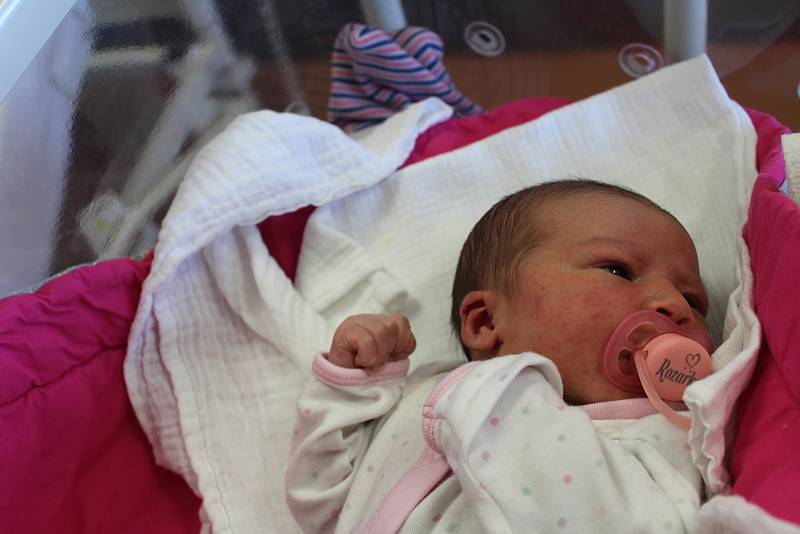 Rozálie Marie Černíková z Maňovic se narodila v klatovské porodnici 4. února ve 21.02 hodin (3880 g, 50 cm). Pohlaví svého prvorozeného miminka znali rodiče Simona a Tomáš dopředu.