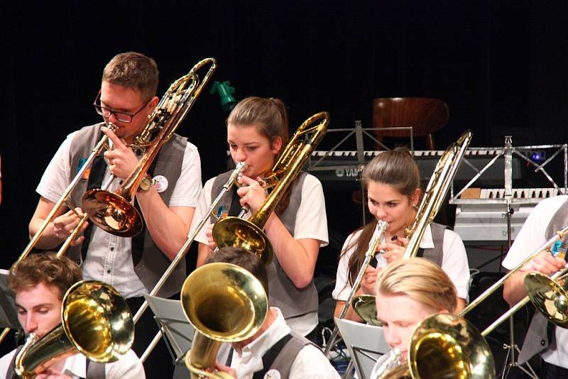 Koncert Já malý koledníček v klatovském divadle.