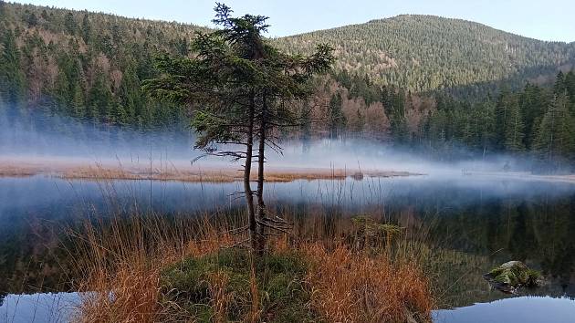Čeští turisté rádi jezdí i do Bavorského lesa, vyhledávaným cílem je i Malé Javorské jezero. Teď se ale budou muset výletníci smířit s tím, že se bude platit za parkování i tam, kde bylo dosud zdarma.
