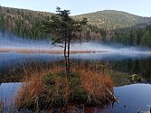 Čeští turisté rádi jezdí do Bavorského lesa, vyhledávaným cílem je i Malé Javorské jezero. 