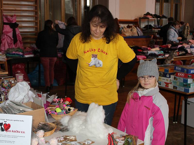 Charitativní bazar pro kočky bez domova v klatovské sokolovně.