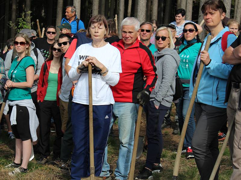 Sázení stromů s WeLoveŠumava.