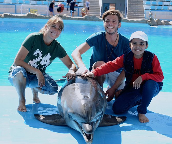 Maria Chylíková s delfíny v Egyptě.