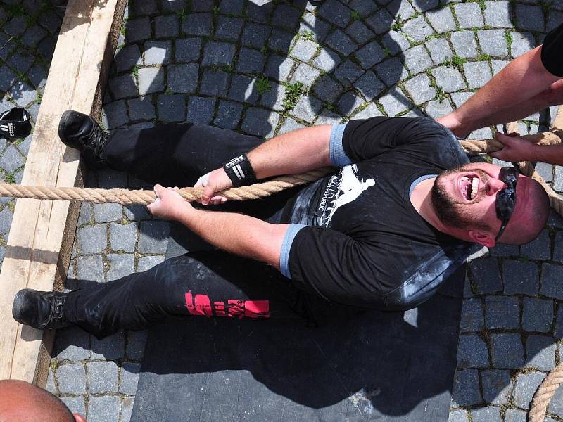 Strongman v Sušici 2014.