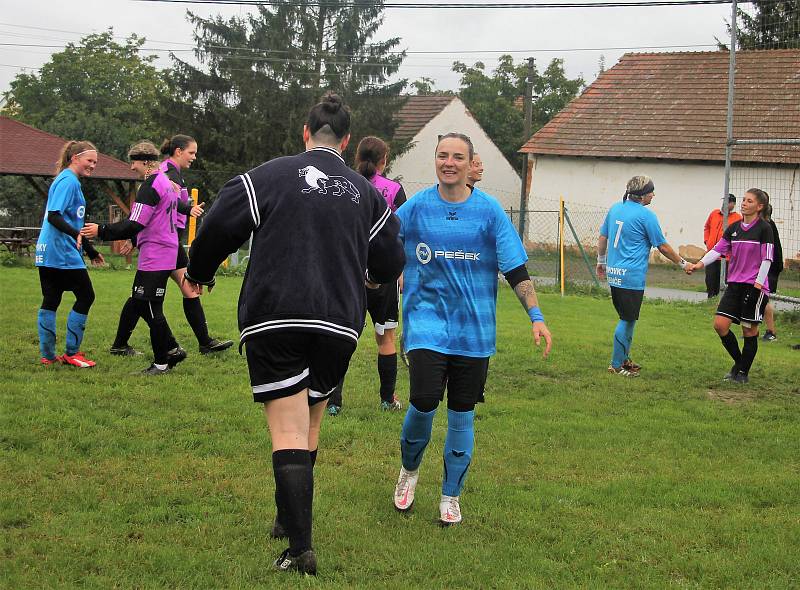 Letní DAFL, 10. kolo: Topovky Řenče (modré) - PS Křeč Mochtín 4:1.