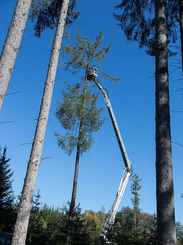 Instalace hnízda pro orly mořské v Kolinci na Klatovsku.