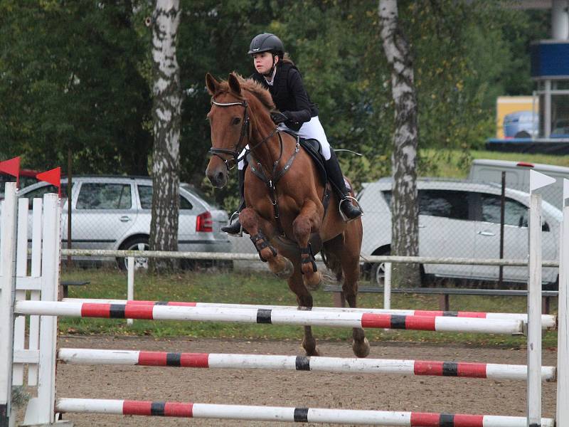 Jezdecké závody v Lubech - skoková soutěž Z.