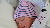 Laura Dolívková z Novákovic (3200 g, 50 cm) se rodičům Nikole a Janovi narodila v klatovské porodnici 16. června v 6:07 hodin. To, že prvorozené miminko bude holčička, věděli rodiče dopředu.