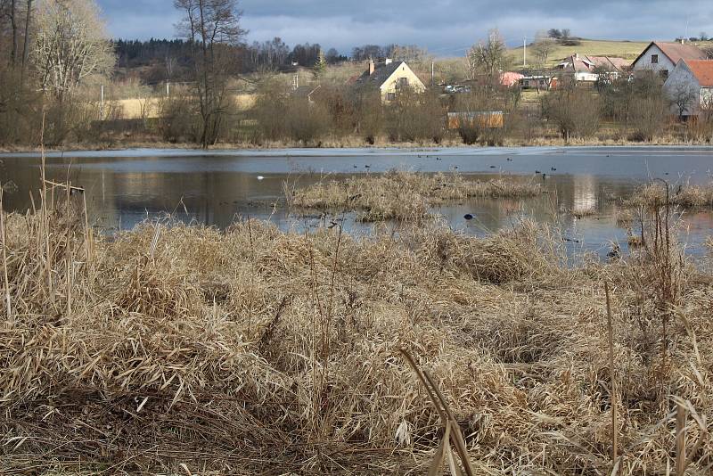 Rybník v Hrádku u Sušice.