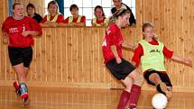 V utkání pátého kola zimní Dívčí amatérské fotbalové ligy porazila vedoucí bolešinská Kobra A Andělky ze Svaté Anny 8:2.
