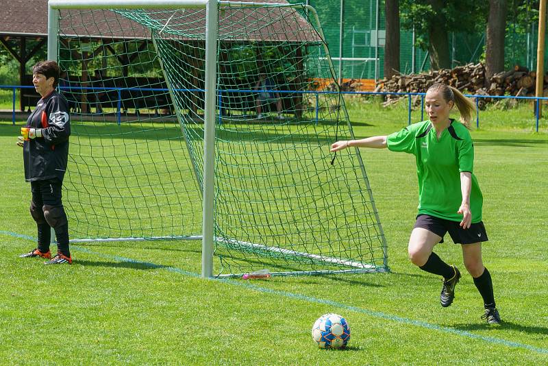 5. kolo DAFL, léto 2022: PS Křeč Mochtín (fialové dresy) - Sokolky Neznašovy 2:3.