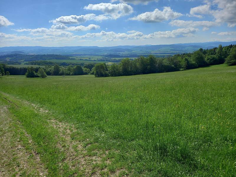 Pochod Klatovský karafiát 2020 - trasa 12 km.