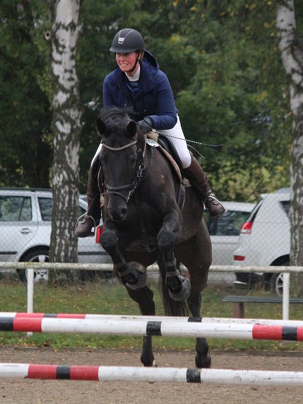 Jezdecké závody v Lubech - skoková soutěž Z.