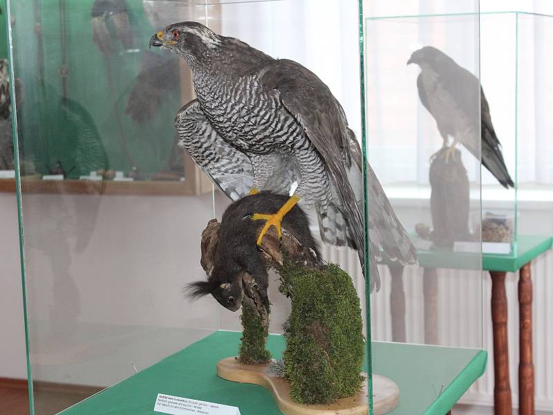 V sobotu otevřeli v Rabí muzeum sokolnictví a řemesel.