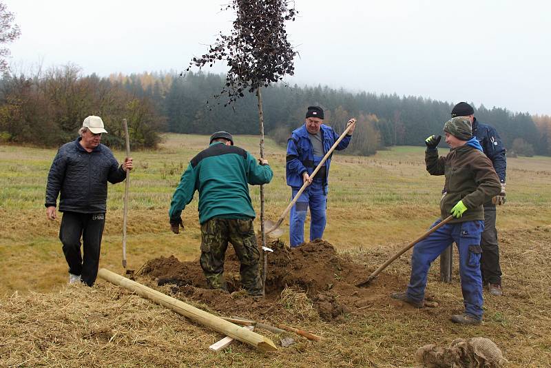 Sázení stromů ve Střeziměři.