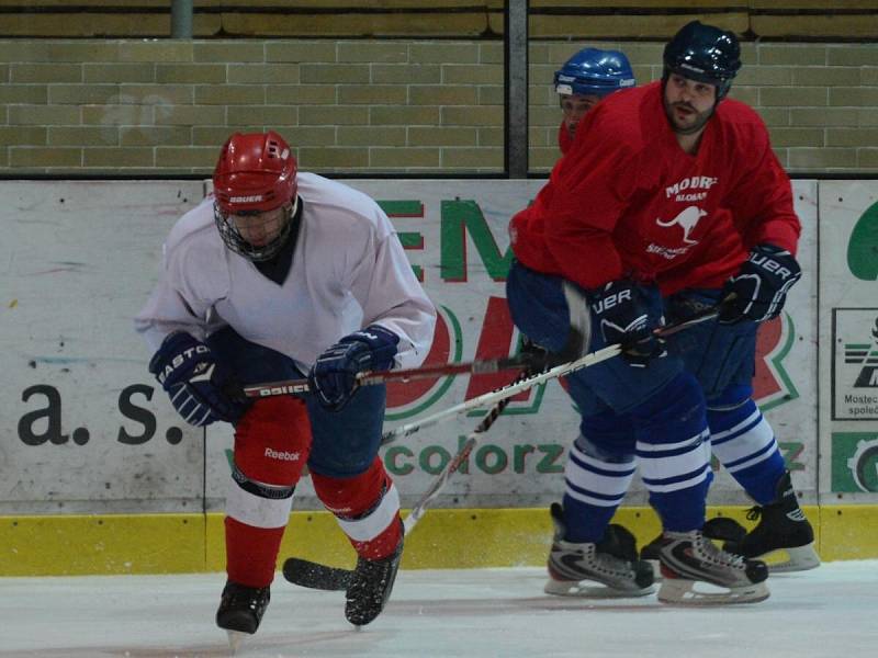 Ledový Isoh Cup 2014 v Klatovech.