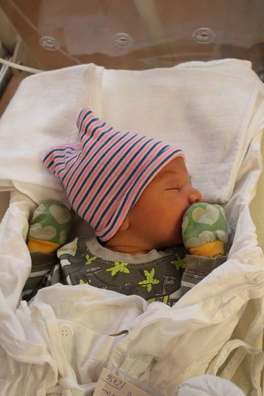 Dominik Kubov se narodil 29. října 2021 ve 13:17 rodičům Dominice a Jurajovi z Plzně. Po příchodu na svět ve FN Lochotín vážil jejich prvorozený syn 3830 g a měřil 50 cm.