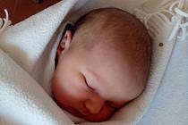 ALŽBĚTA PERNIKLOVÁ z Bořic se narodila v klatovské porodnici 2. prosince v 8.30 hodin (3400 g, 49 cm). Rodiče Jiřina a Lukáš si nechali pohlaví svého druhorozeného potomka jako překvapení na porodní sál. Doma se na malou sestřičku těší Lukášek (2).