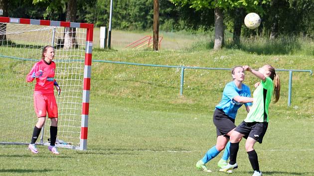 Letní DAFL. 3. kolo: Topovky Řenče - Sokolky Neznašovy 3:0.