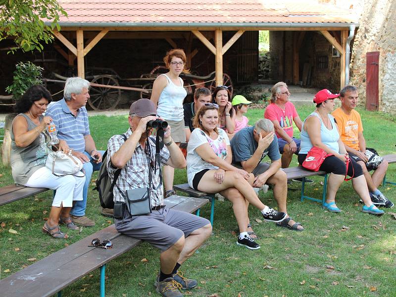 Ukázky dravců a sov na zámku v Chudenicích