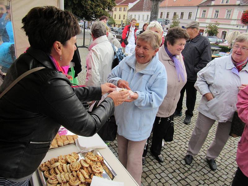 Den seniorů v Sušici.