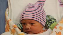 David Čermák je prvorozeným miminkem rodičů Terezy a Marka z Březiny. Chlapeček se narodil v plzeňské FN Lochotín 16. listopadu v 15:18 hodin s váhou 3640 gramů.