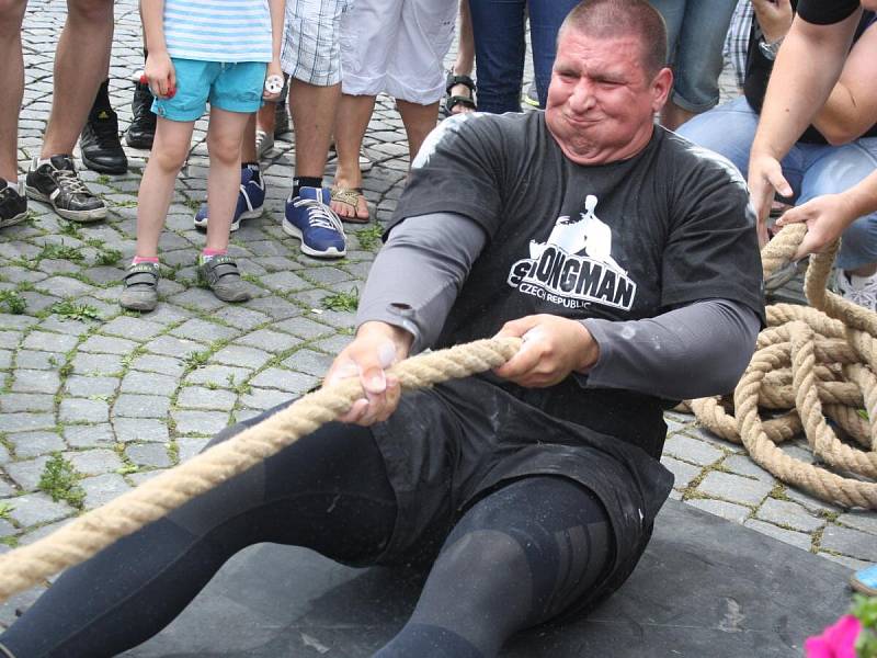 Strongman v Sušici 2014