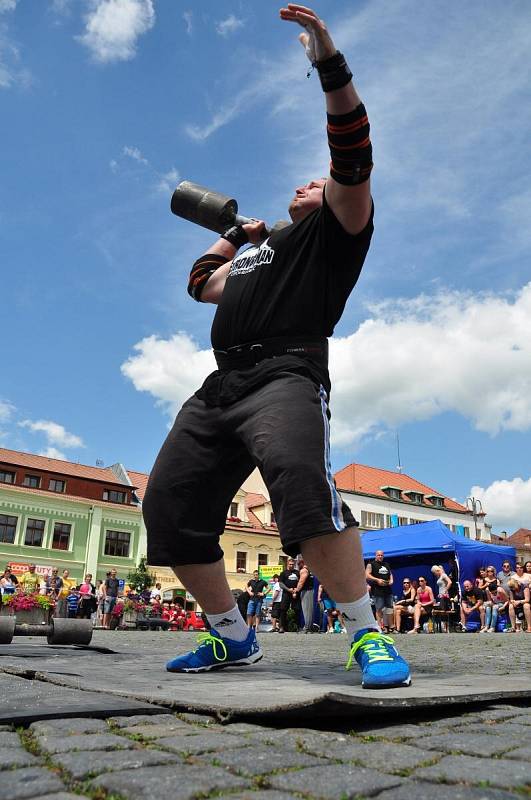 Strongman v Sušici 2014.